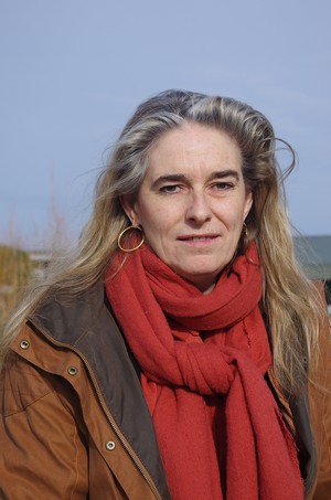 gwenola doaré