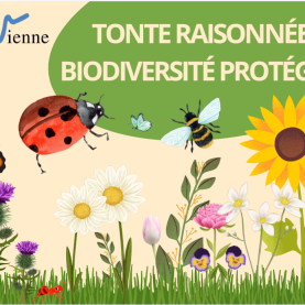 TONTE RAISONNEE - BIODIVERSITE PROTEGEE